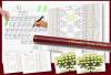 Family Tree Charts Pack 2 with deluxe tube - view 1