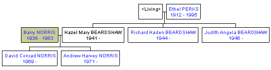 Mini tree diagram