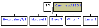 Mini tree diagram