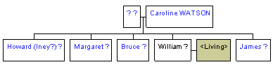 Mini tree diagram