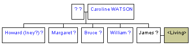 Mini tree diagram