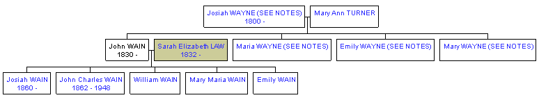 Mini tree diagram