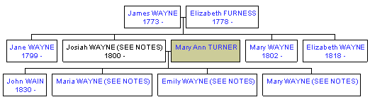 Mini tree diagram