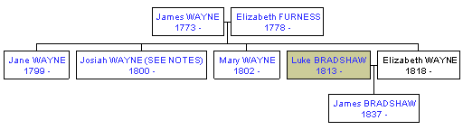 Mini tree diagram