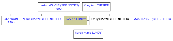 Mini tree diagram