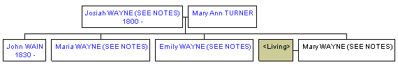 Mini tree diagram