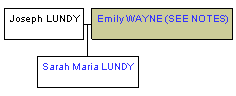 Mini tree diagram