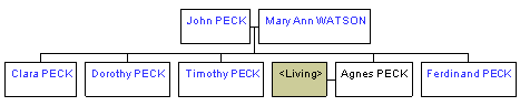 Mini tree diagram