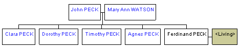 Mini tree diagram