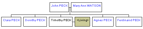 Mini tree diagram