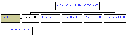 Mini tree diagram