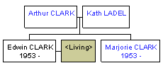 Mini tree diagram