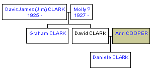 Mini tree diagram