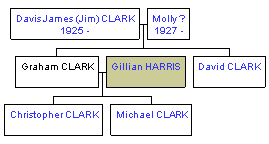 Mini tree diagram