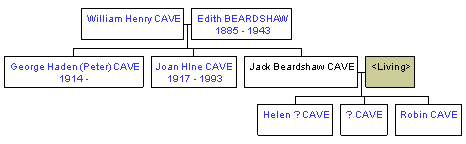 Mini tree diagram