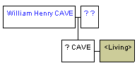 Mini tree diagram