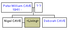 Mini tree diagram