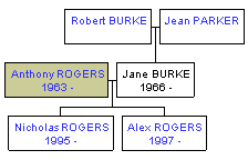 Mini tree diagram