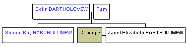 Mini tree diagram