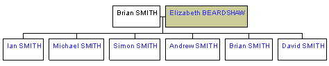 Mini tree diagram