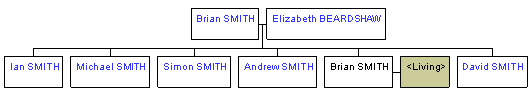 Mini tree diagram