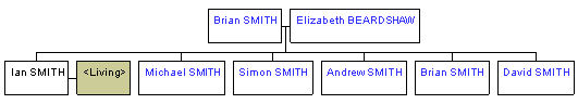 Mini tree diagram