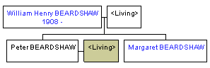 Mini tree diagram