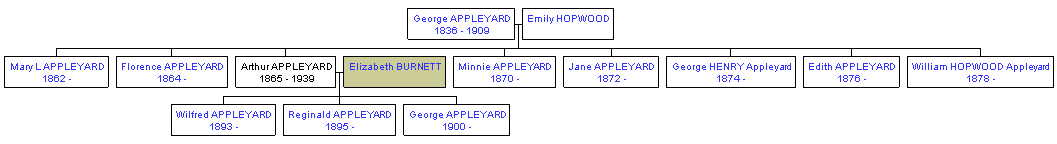 Mini tree diagram