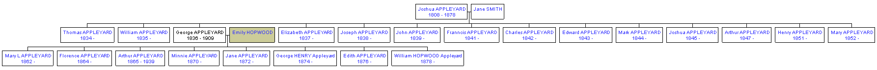 Mini tree diagram