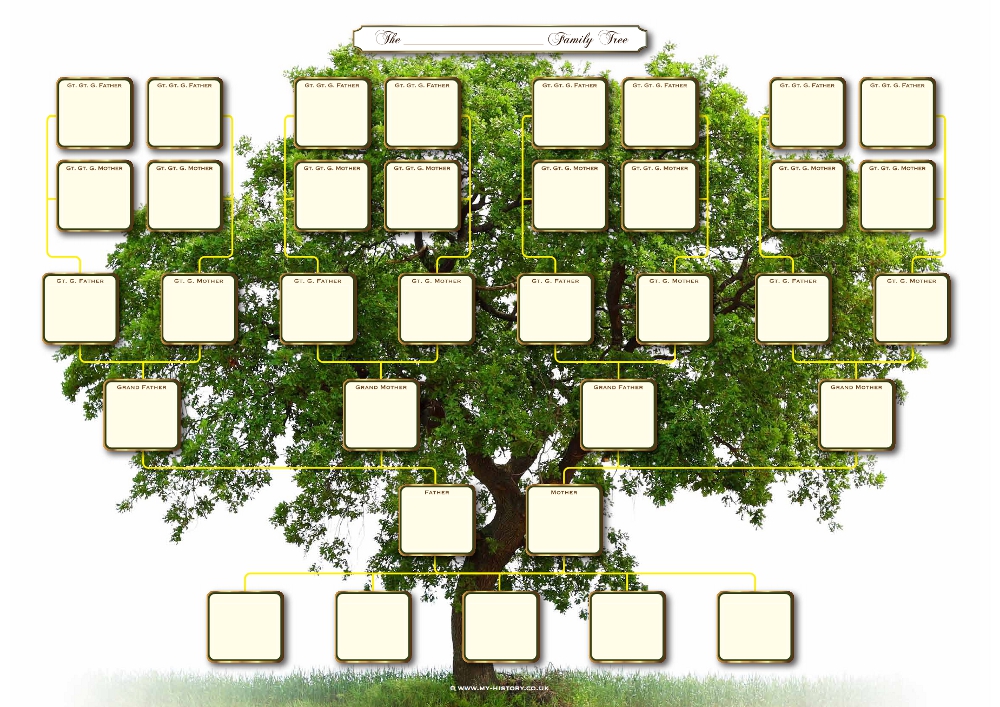 My History A2 Ancestor Sticker Chart