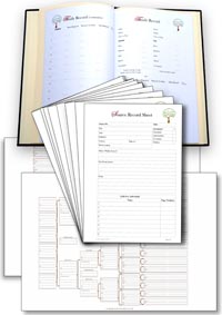 Building a family tree notebook  Family tree genealogy, Family
