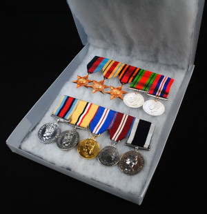 Archive Display Medal box