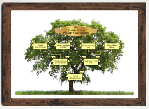 Three Generation Ancestor Chart