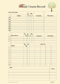 Census Record Page pack of 20 in 100gms Cream