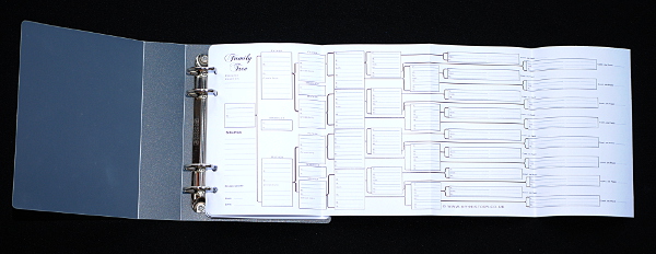 Journal Six Generation Pedigree Chart (pack of 3 Folded)